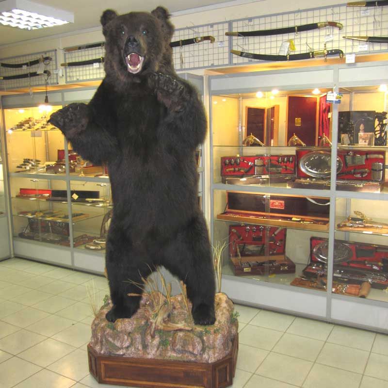 Магазин Медведь Вологда Сайт